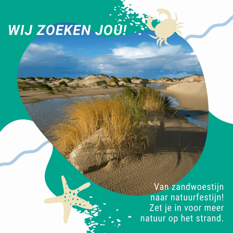 From sandy desert to natural feast! Commit yourself to more nature on the beach