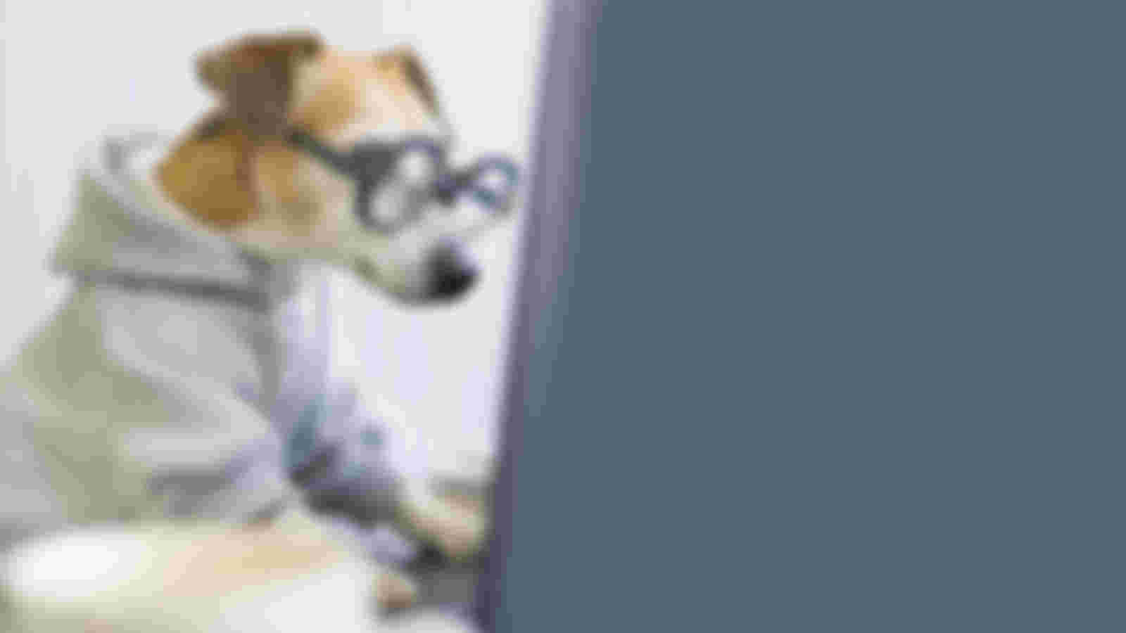 Volunteer: Social Media Communications