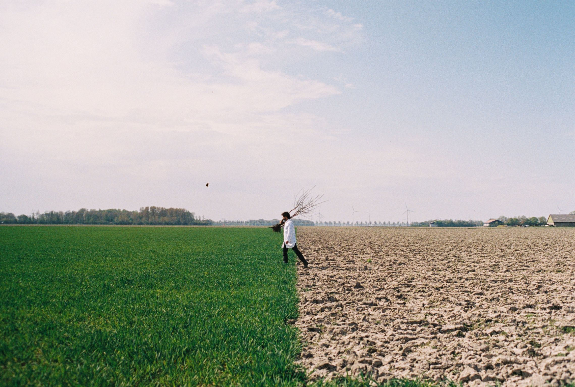 From the field to the glass: work the land and organize a harvest festival!