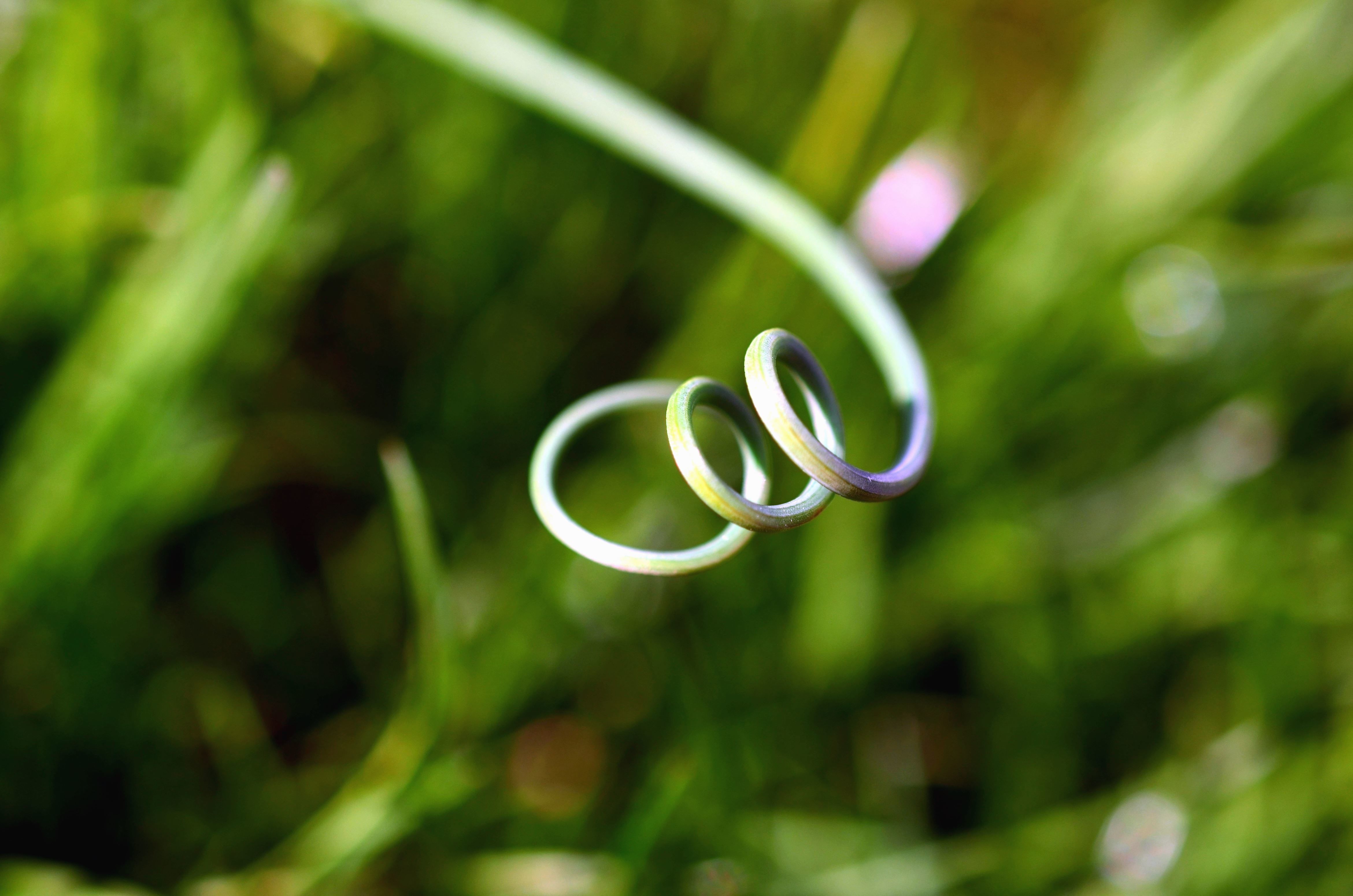 Hoe pakken we dit aan?