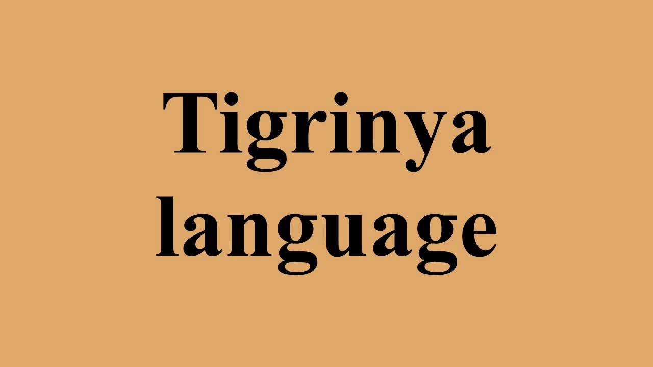  Tigrinya sprekende ondersteuner thuisadministratie