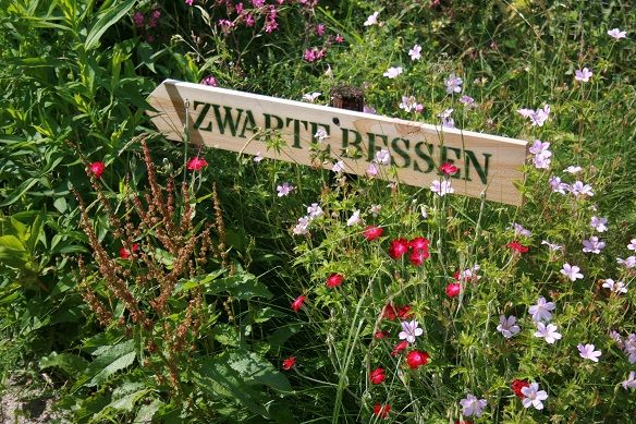 Tea garden help / service help (May-Nov)