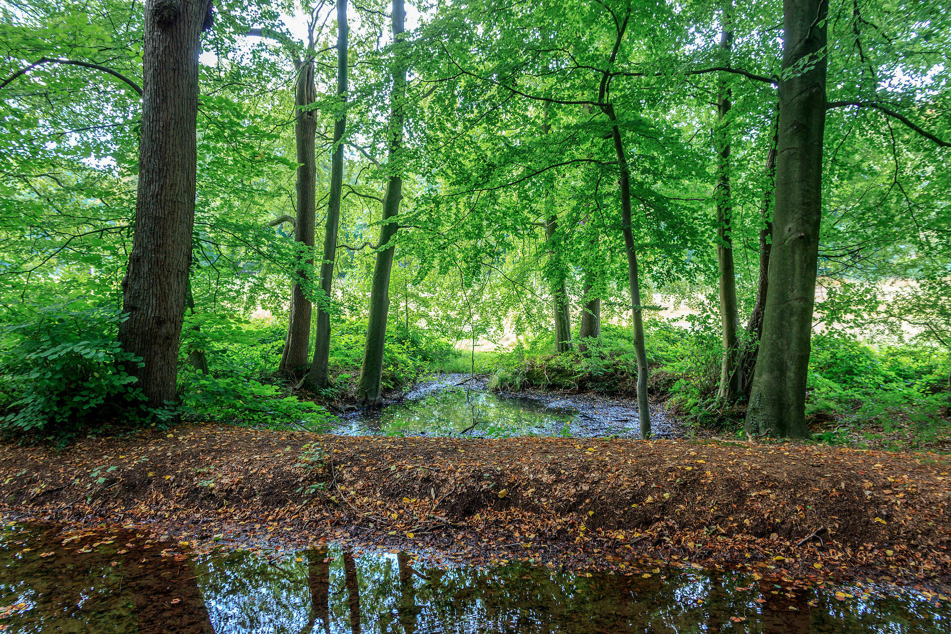  Samen een wandeling maken