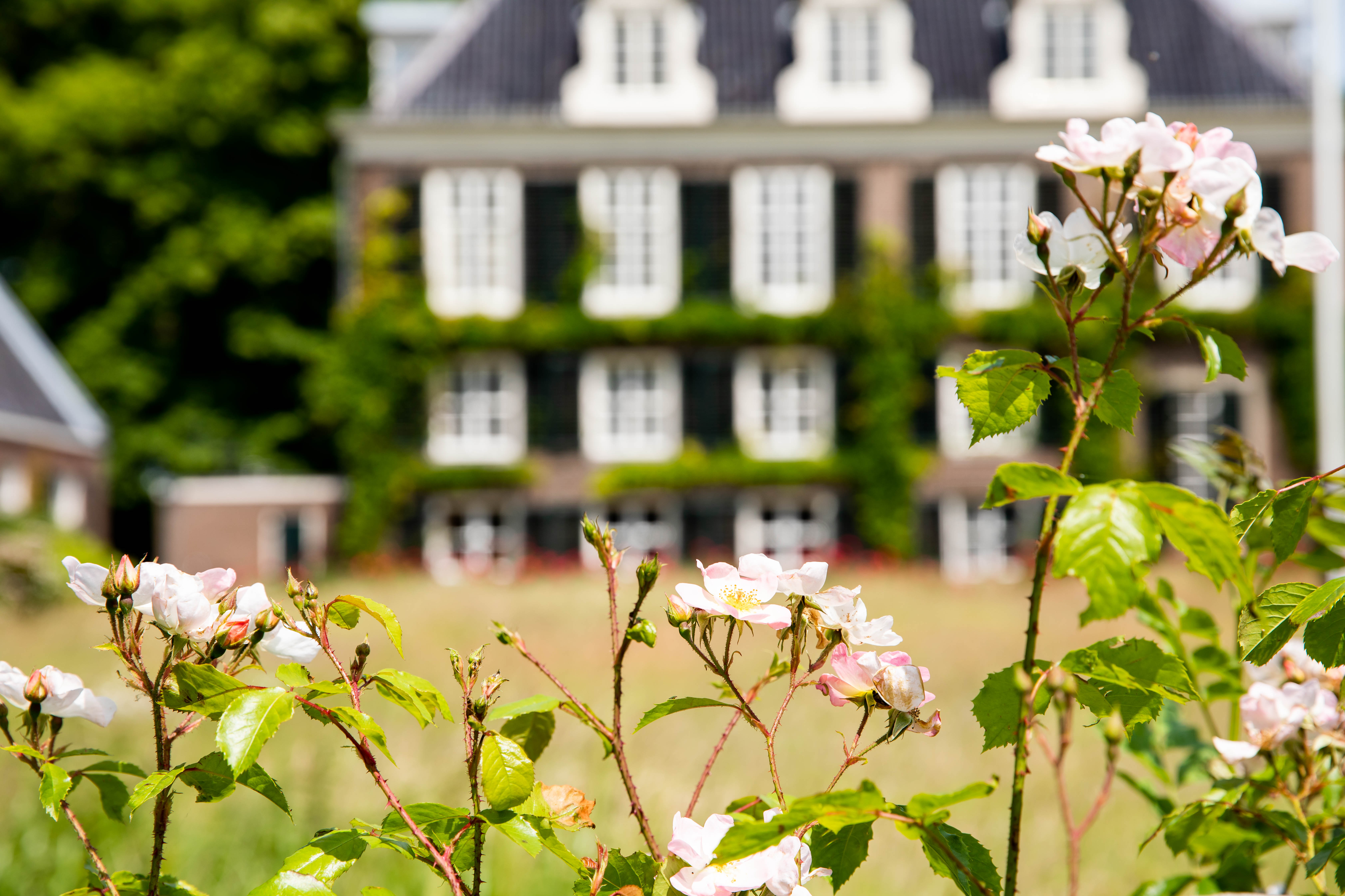 Rondleider bij Buitenplaats Doornburgh