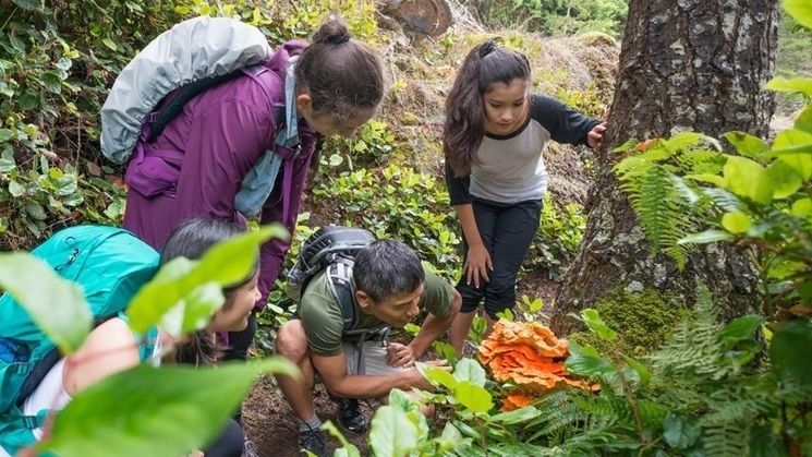 WNF Familie Expeditie