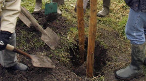 Help enrich the Limburg landscape in Venlo!