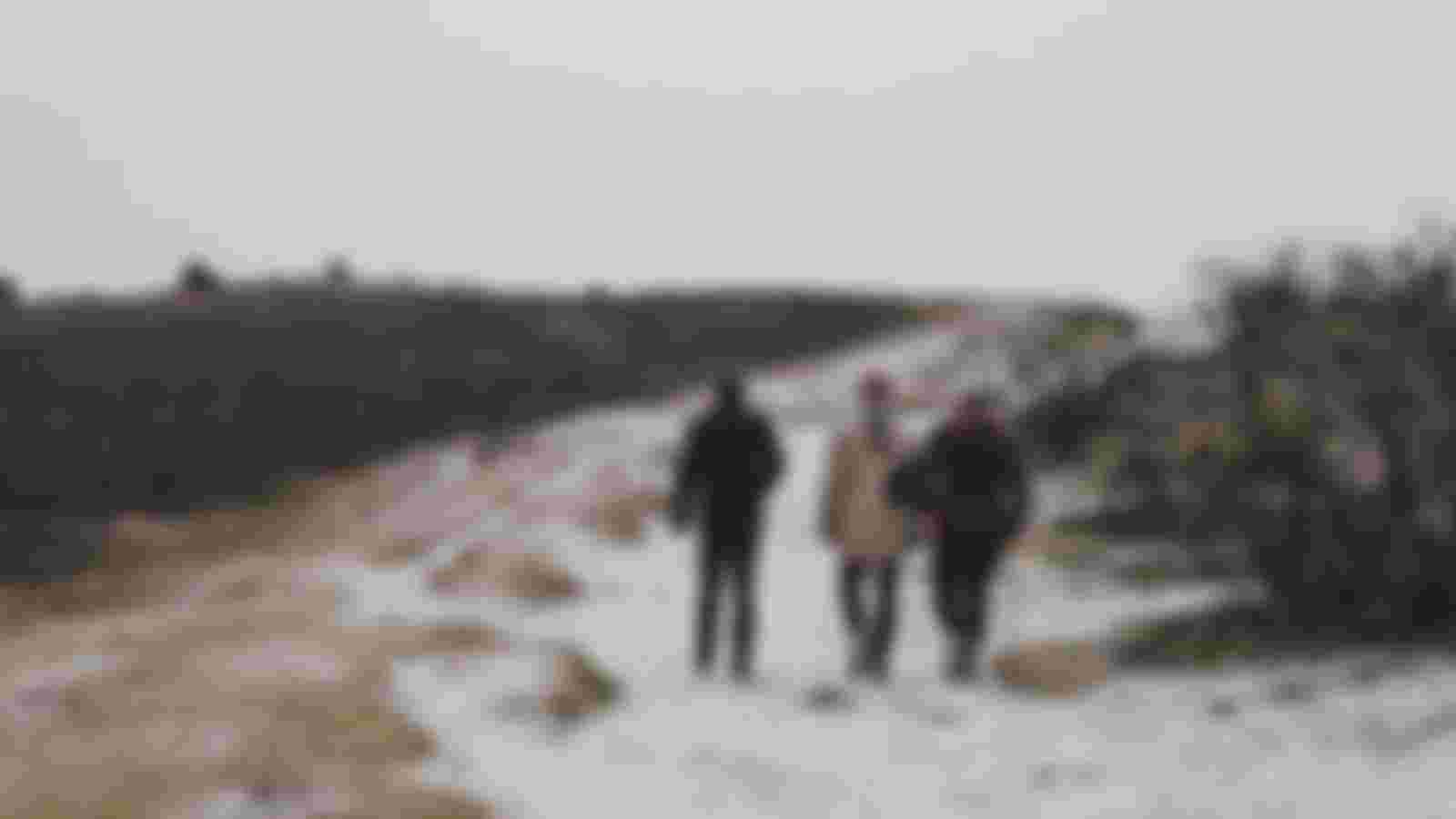 Walkers wanted for Don Sarto in Tilburg