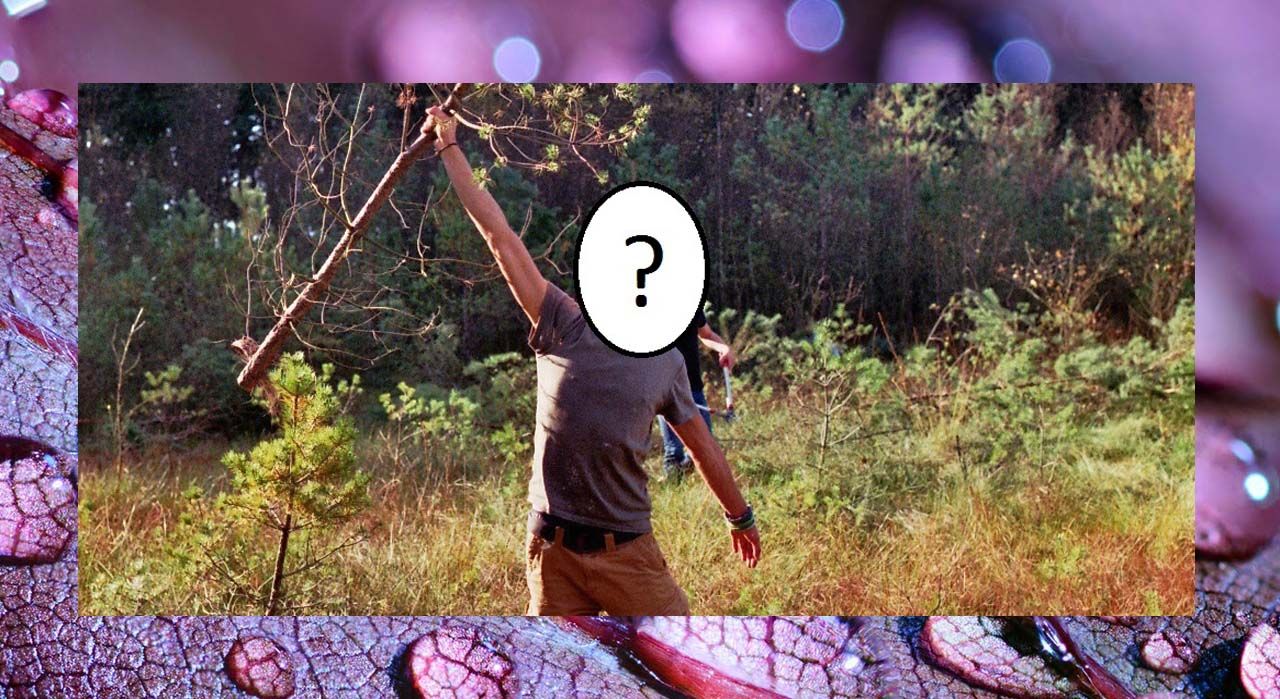 FULL! Become a multi-purpose forest consultant