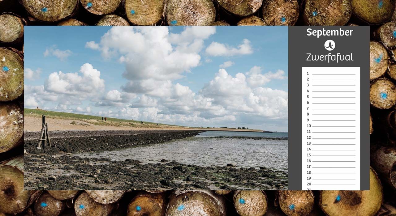 Kickstart a sustainability community