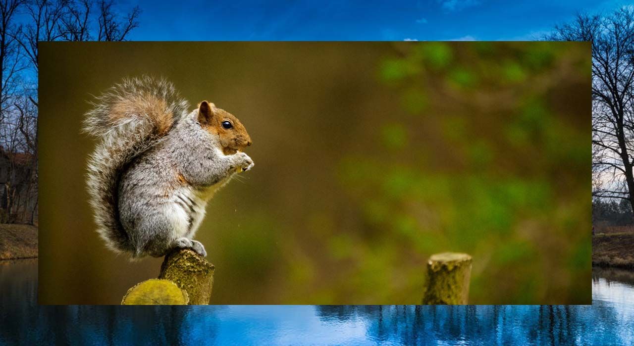 Green Trainers from the Climate Course