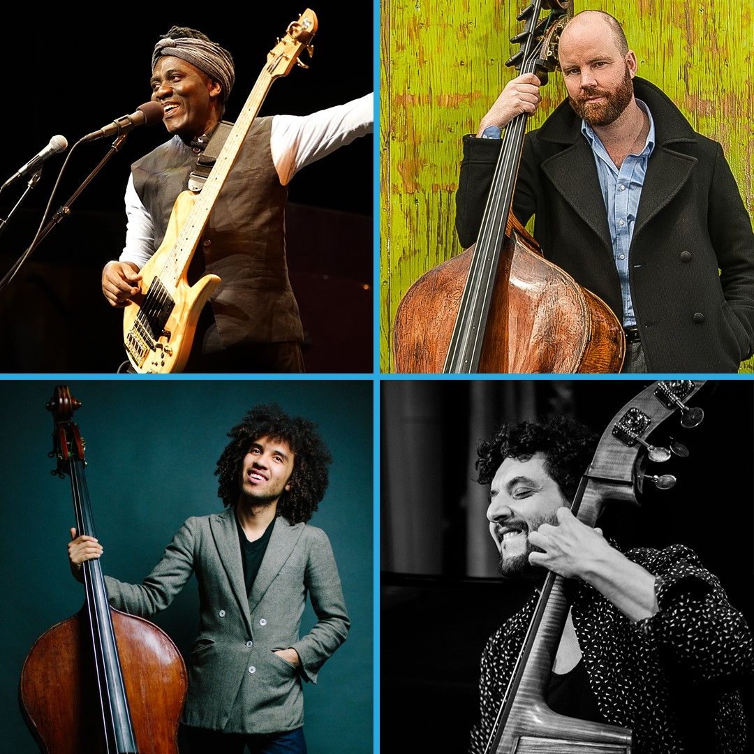 Dutch Double Bass Festival is looking for volunteers