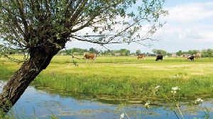 IVN ledenpanel teamlid