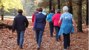 Amstelveense Wandel4Daagse