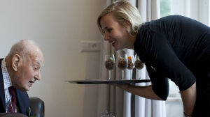 We are looking for help with dinner