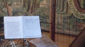 volunteer who loves to sing!