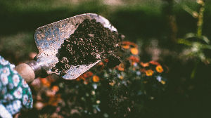 Tuintje opknappen bij een gezin