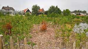 Kom helpen in het Tiny Forest!
