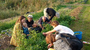 Commit to sustainability with your team!