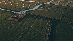 Help us expand with your HR skills!