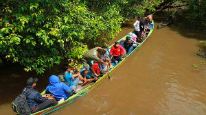 Conservation and Reforestation