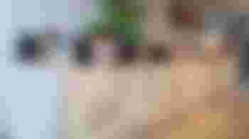 Gastvrije baliemedewerker Castellum Hoge Woerd