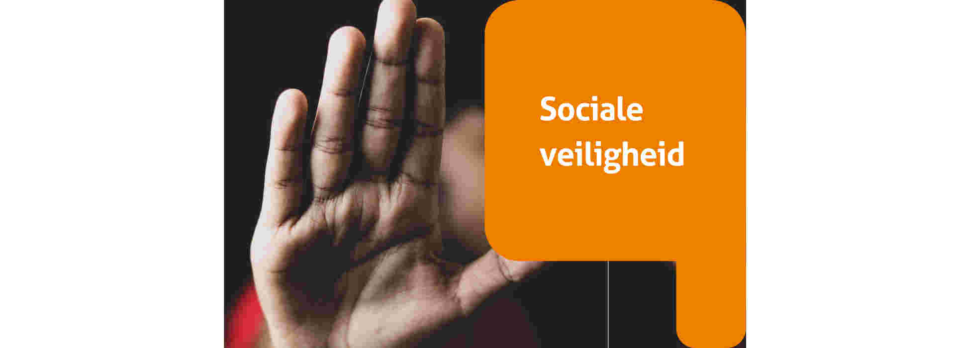 Training Sociale Veiligheid