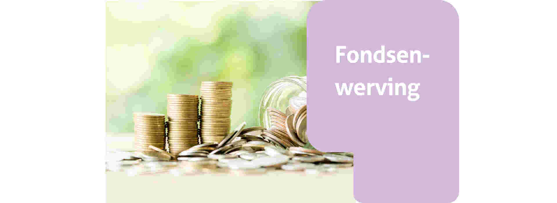 Fondsenwerving