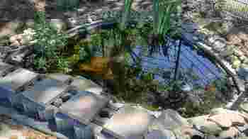 Volunteer Garden and Grounds Maintenance