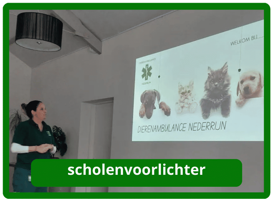 Scholenvoorlichter