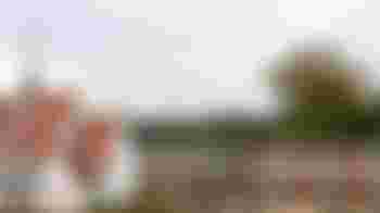 Accompanying the celebration on Sunday