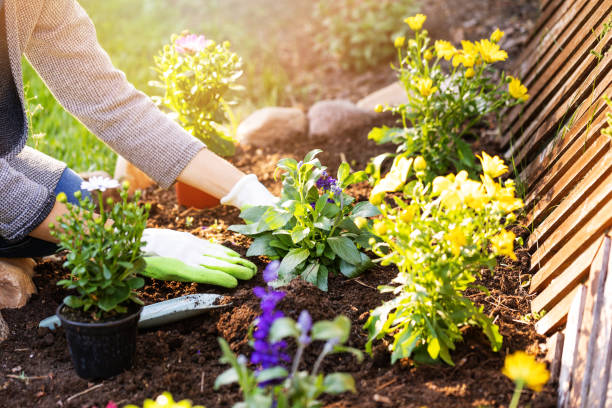 Do you like gardening? Make elderly neighbors happy with your help!