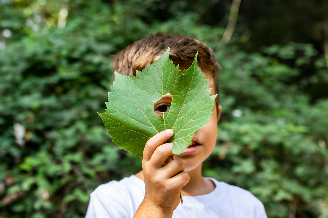 Mees (7) zoekt een maatje!