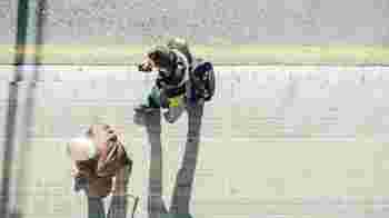 Breng jij wat gezelligheid aan deze meneer?