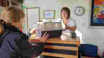 Wij zoeken een gastvrije Floormanager voor ons dierenhospitaal