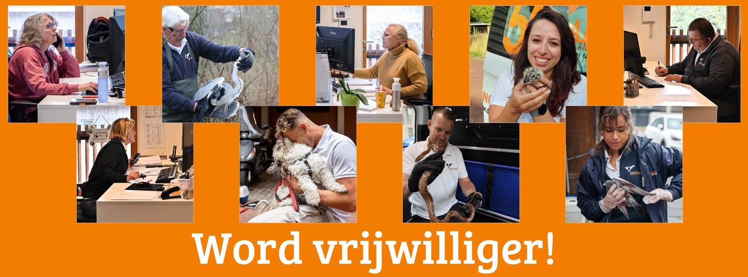 Gezocht: Chauffeur dappere dierenredder