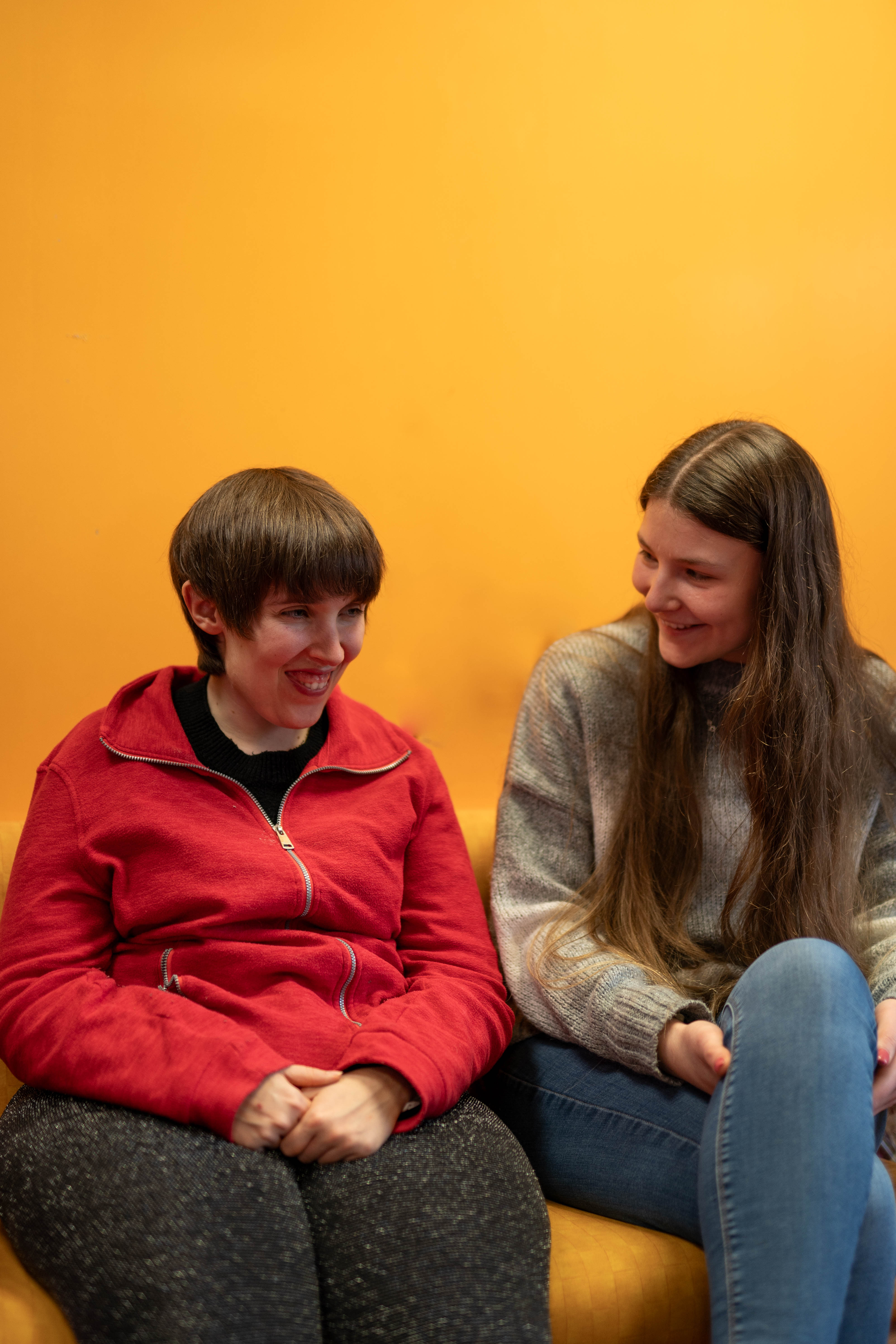 Volunteer Befrienders  -  Wellington