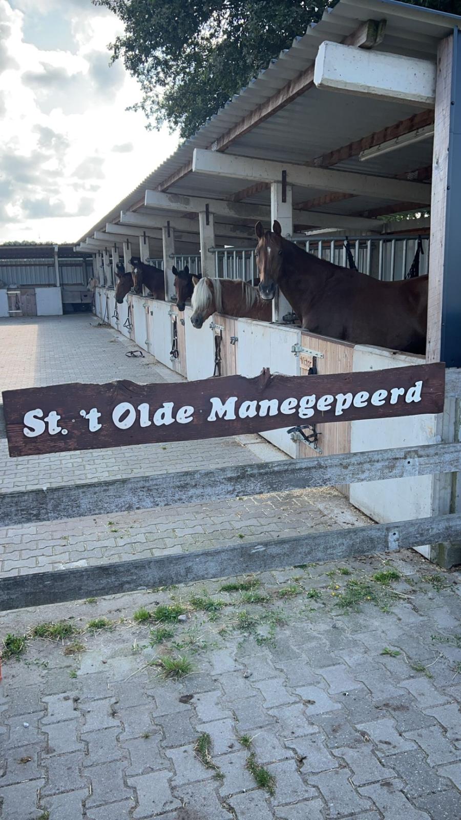 t Olde Manegepeerd zoekt mensen!