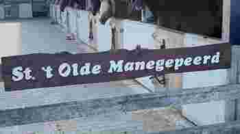 t Olde Manegepeerd zoekt mensen!
