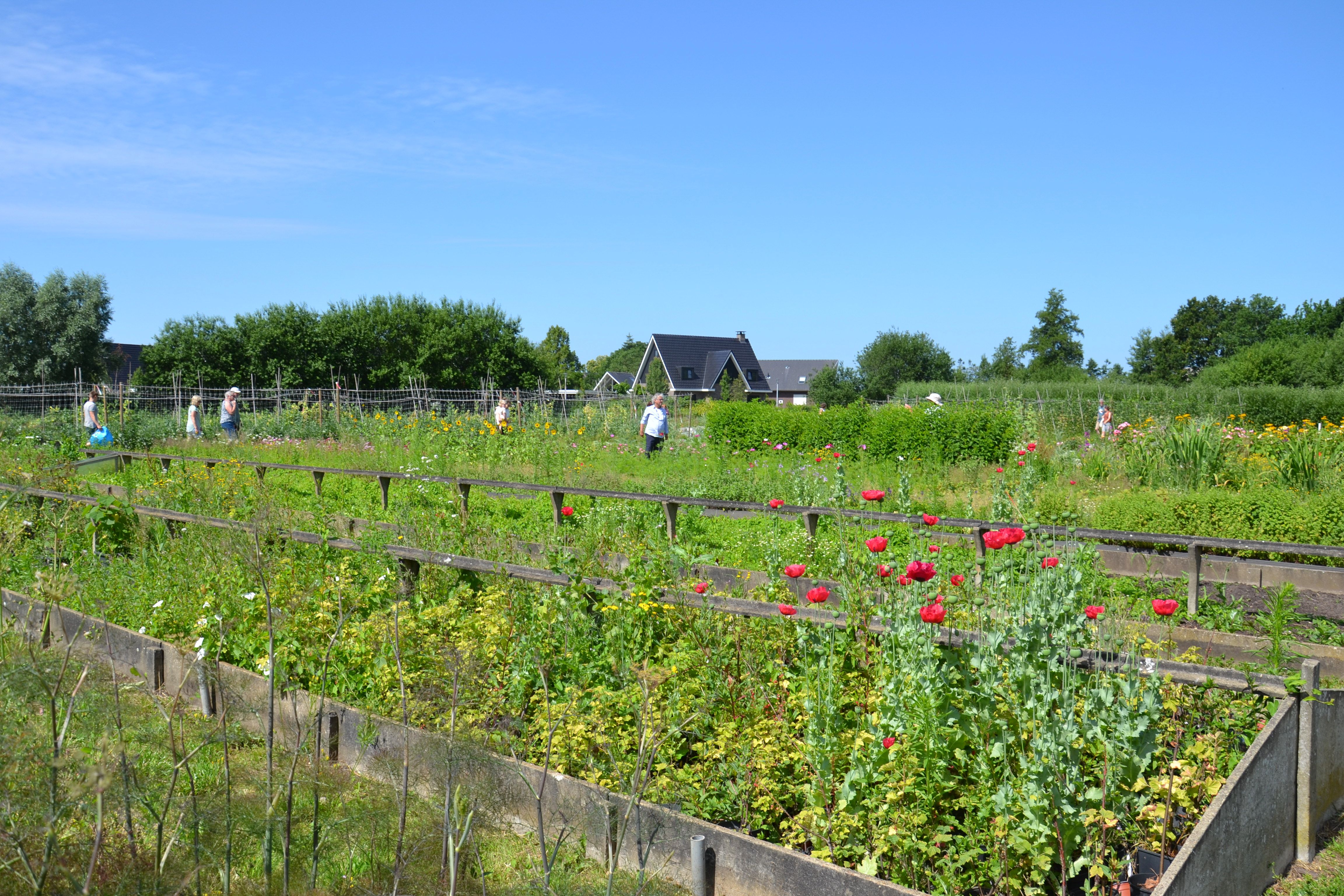 Grounds maintenance employee