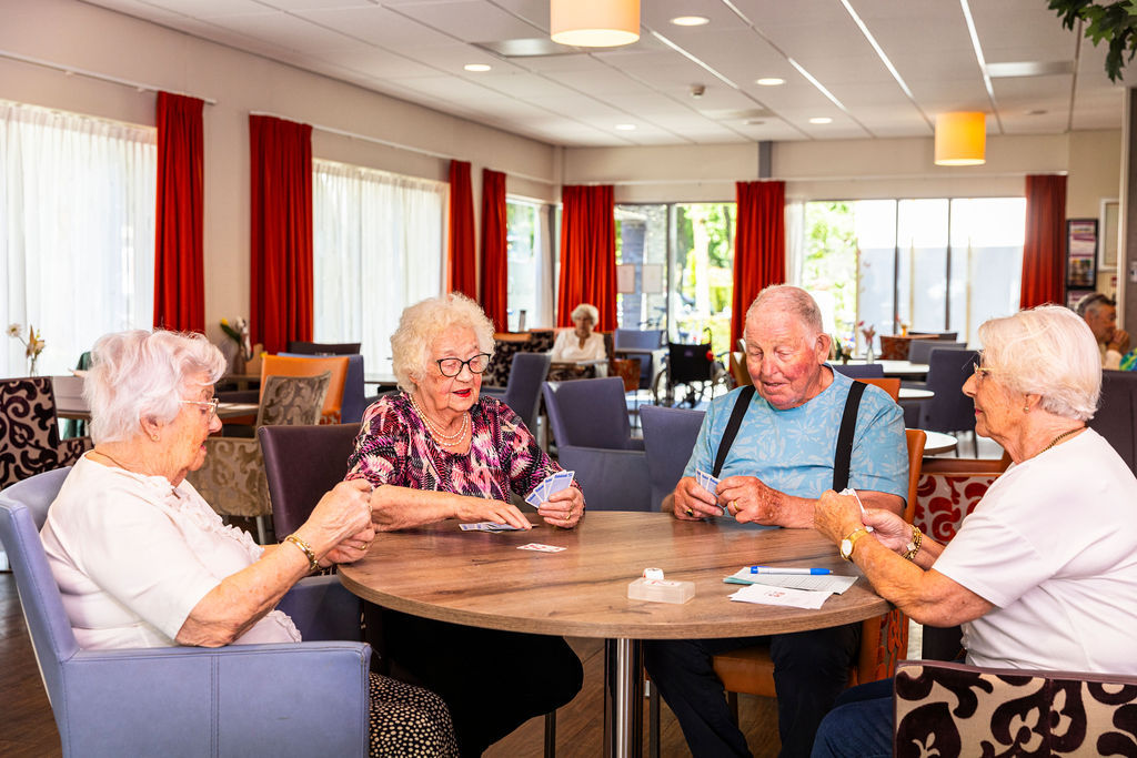 Vrijwilliger om te Bridgen