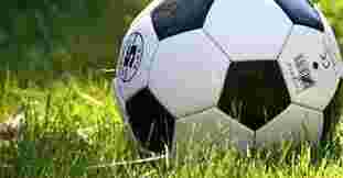 Maak jij het leven van Ronnie net wat gezelliger?