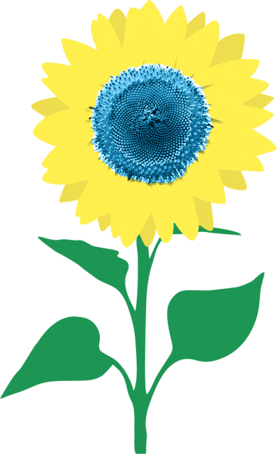 Ben jij Heel handig en een klusser?