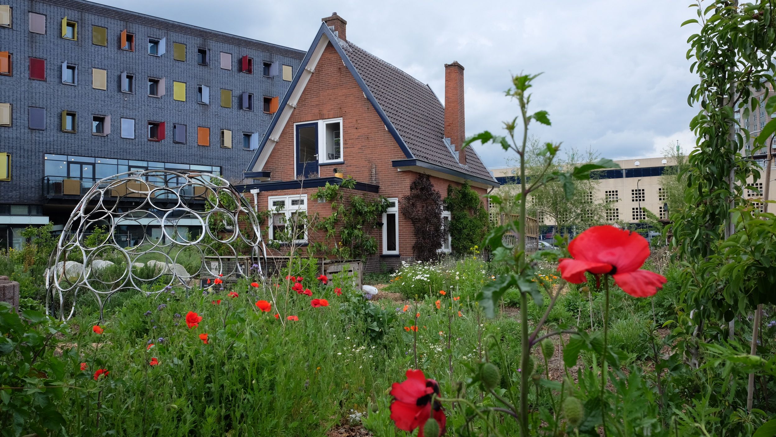 Coördinator Moestuin Havenpark