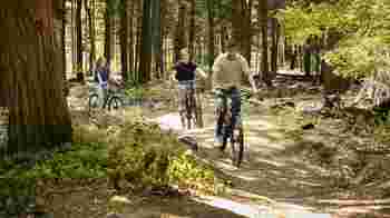 Size Beekbergen The Hietveld