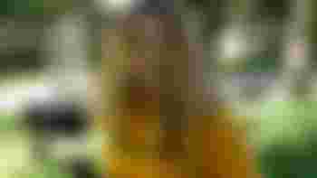 Videograaf Social Media