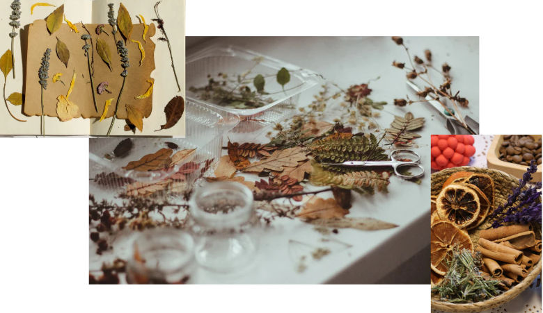 Creatieve natuurdecormaker gezocht bij de Graanhof