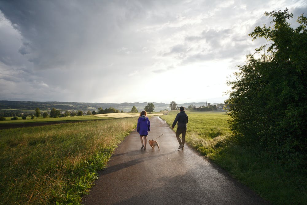 Wandelmaatje(s) gezocht 
