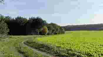 Wandeling rondom Zwiep