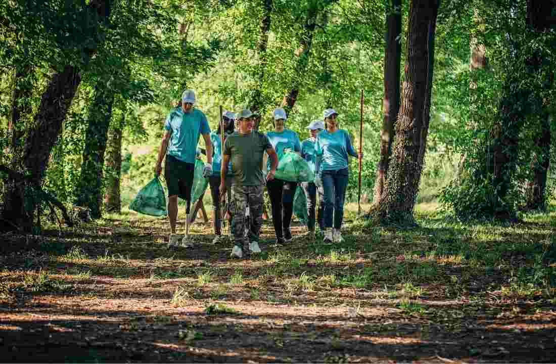 group of volunteers walking in a wood