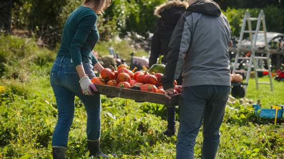 Uit onze bezoeken aan organisaties in Stichtse Vecht blijkt dat vrijwilligers flexibiliteit enorm waarderen. Wanneer zij zelf kunnen bepalen wanneer ze zich inzetten, blijven ze langer gemotiveerd en betrokken. Flexibiliteit zorgt voor duurzaam vrijwilligerswerk en meer plezier in wat ze doen.